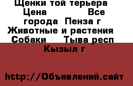 Щенки той терьера › Цена ­ 10 000 - Все города, Пенза г. Животные и растения » Собаки   . Тыва респ.,Кызыл г.